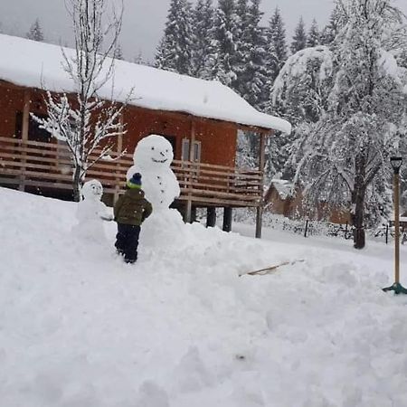 Cottage Shgedi Mestia Exterior photo
