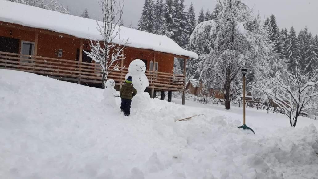 Cottage Shgedi Mestia Exterior photo