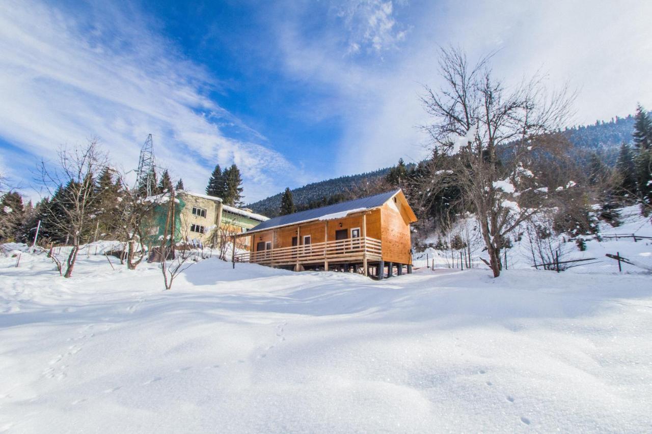 Cottage Shgedi Mestia Exterior photo