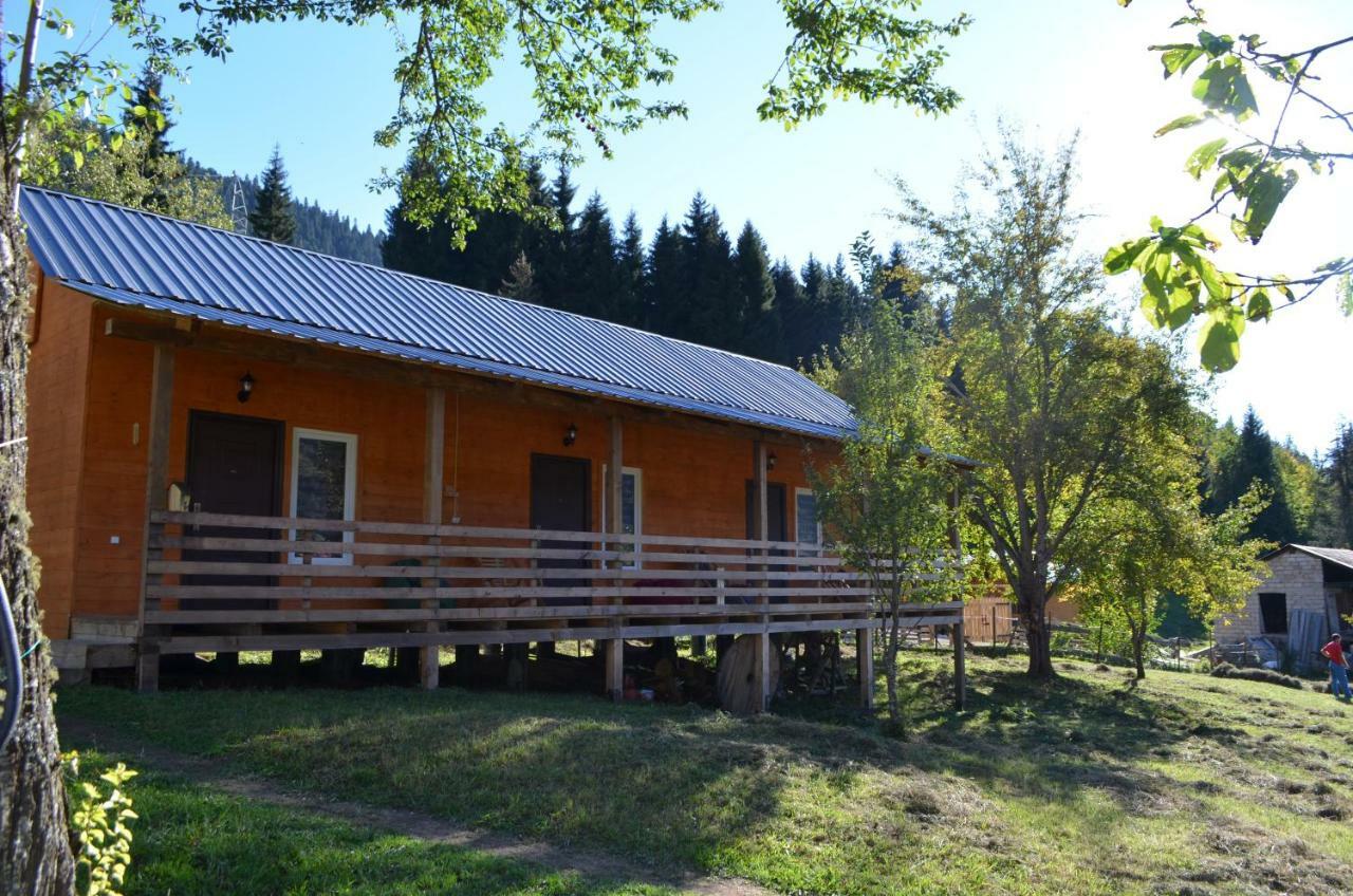 Cottage Shgedi Mestia Exterior photo